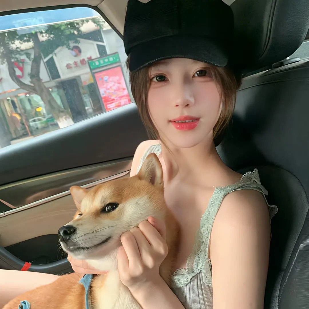 庇护棕榈树下