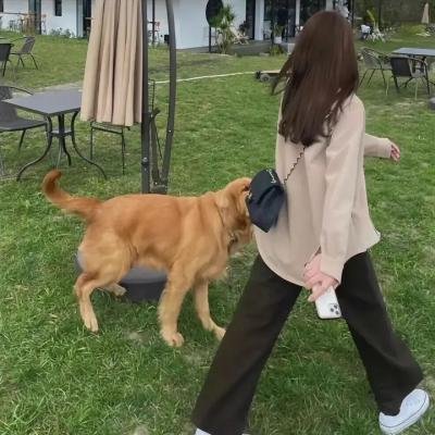 看到他们就会明白